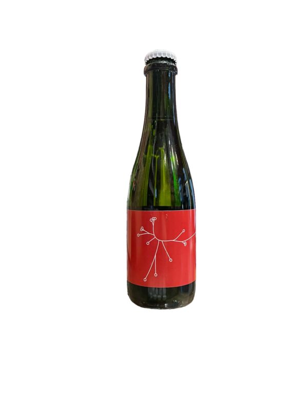 Pot de Fleurs Fruits Rouges Bière Sauvage 37,5cl SPO