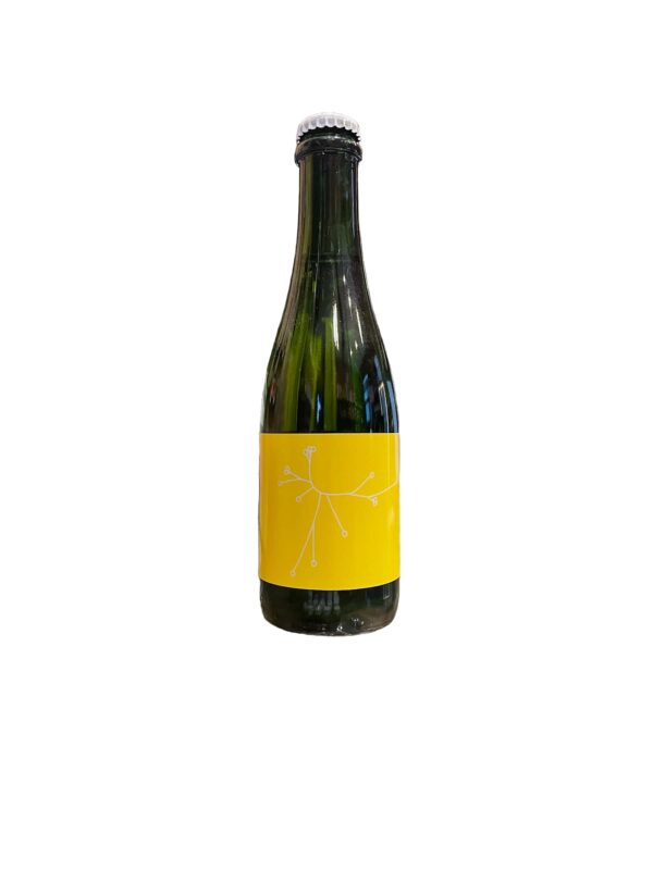 VINA0532 Pot de Fleurs Nature Bière Sauvage 37,5cl SPO
