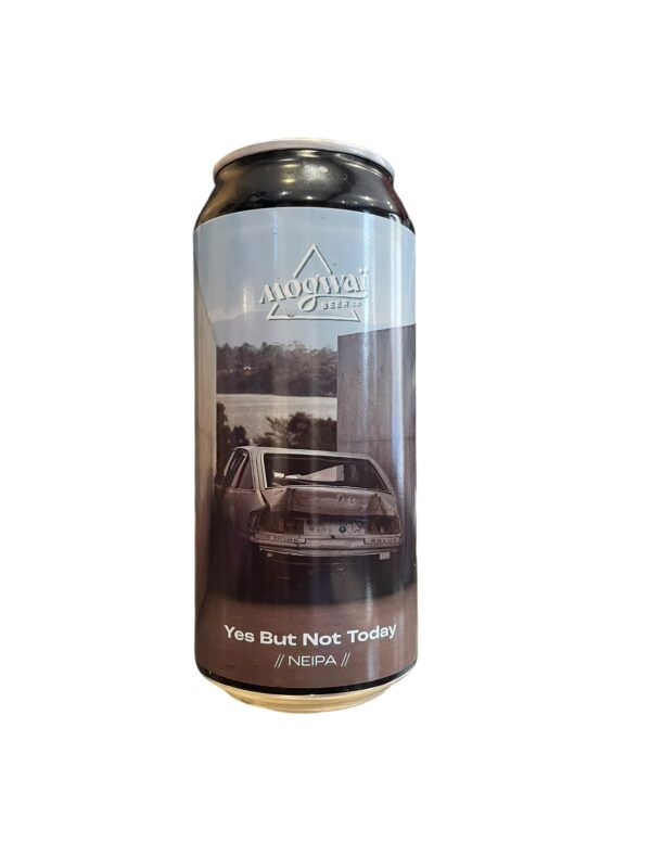 VINA1583 Yes But Not Today NEIPA 44cl Mogwai