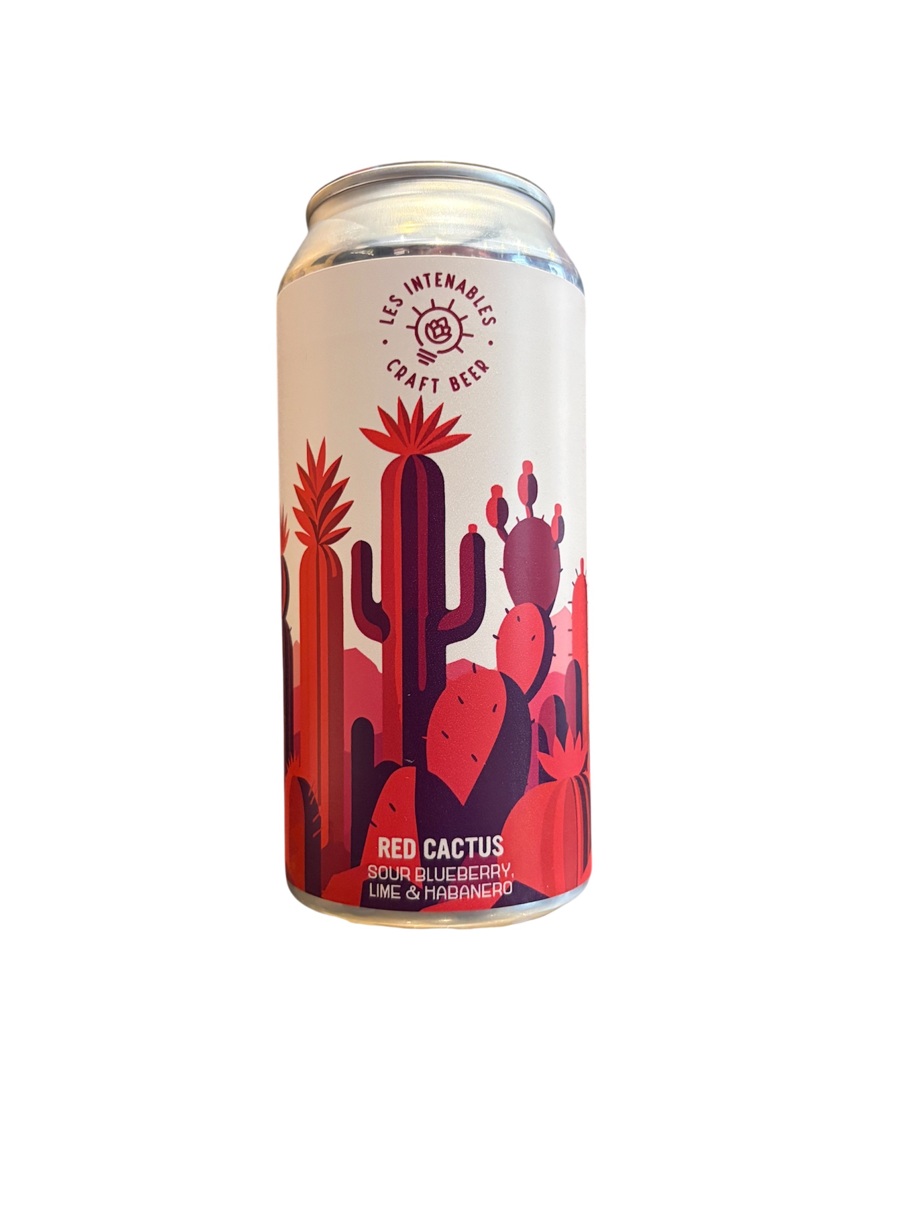 VINA1710 Red Cactus Gose Myrtille, Citron Vert & Habanero 44cl Les Intenables